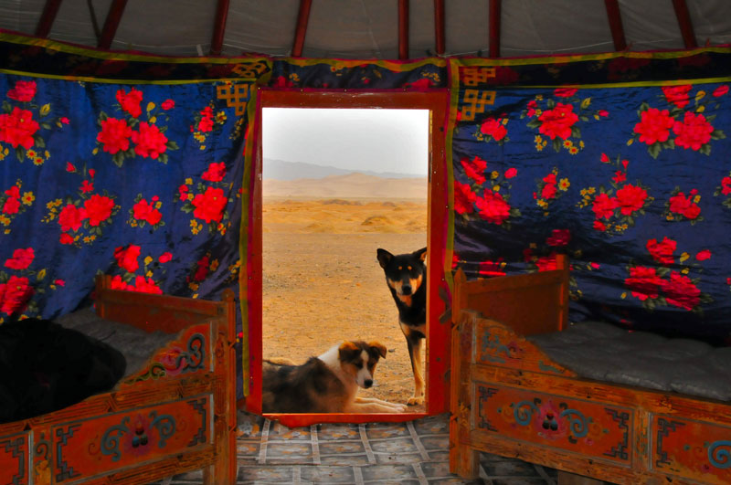 Mongolie
